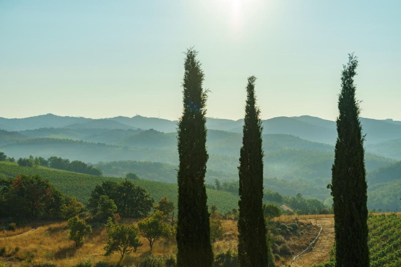 Celle Di Lecchi Nel Chianti Villa San Sano Exteriör bild