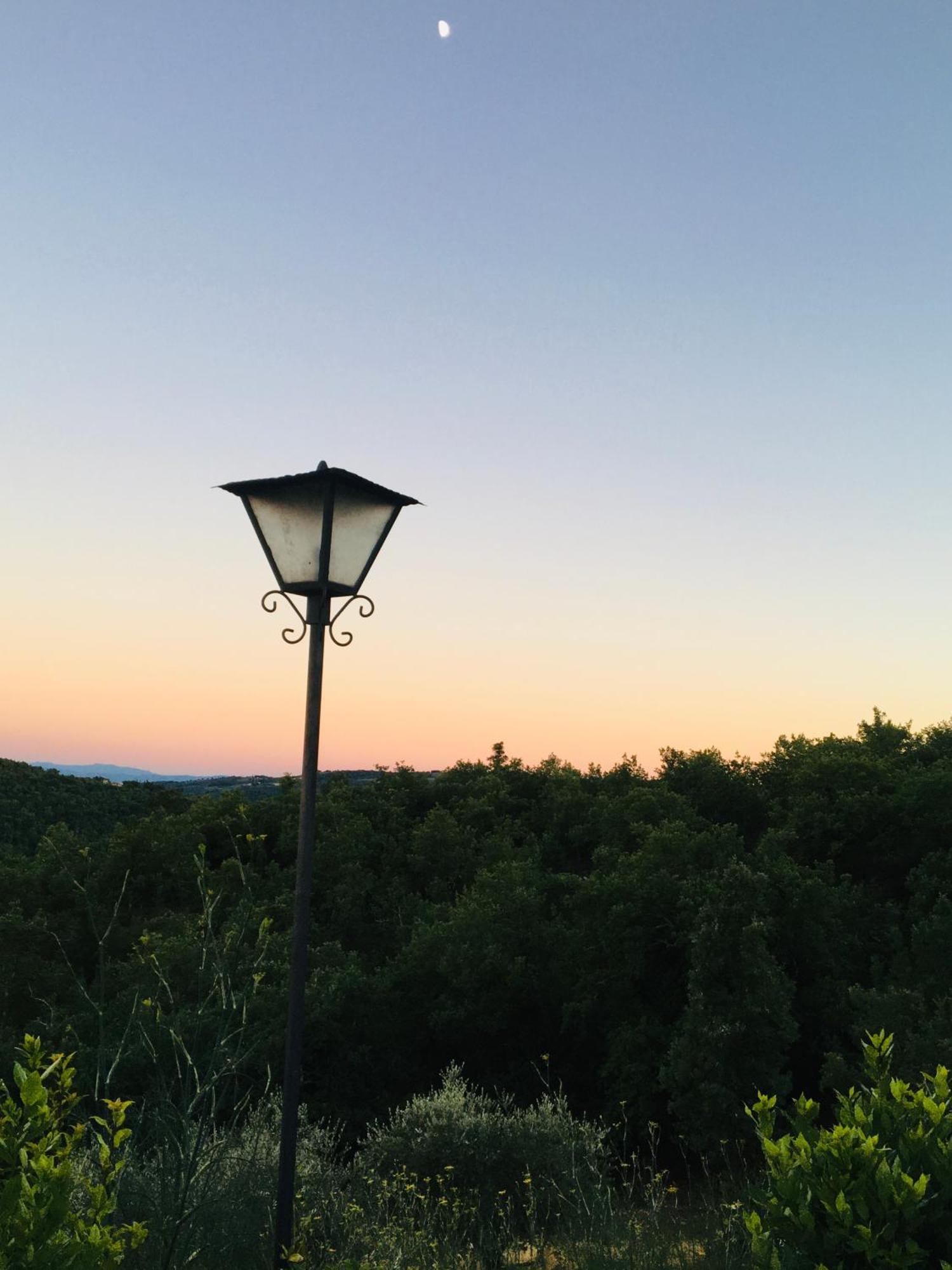 Celle Di Lecchi Nel Chianti Villa San Sano Exteriör bild