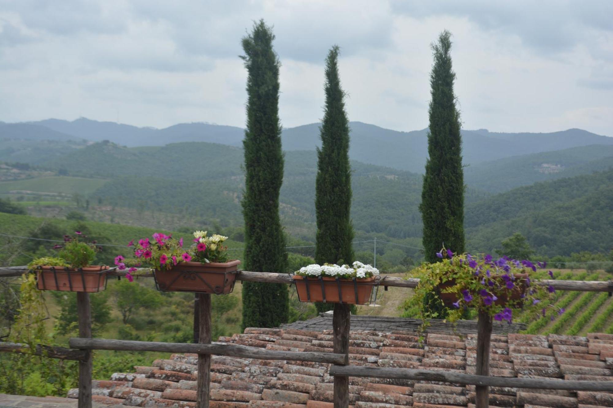 Celle Di Lecchi Nel Chianti Villa San Sano Exteriör bild